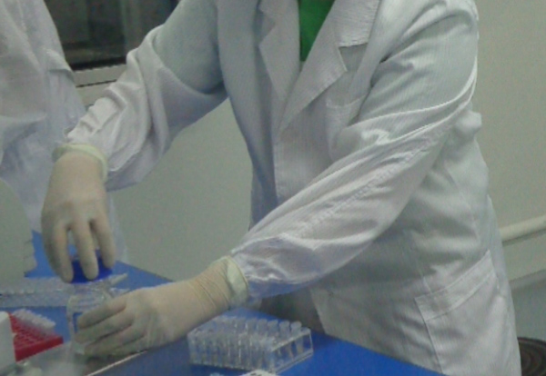 甘肃血缘检测在哪里办理正规的,甘肃亲子鉴定中心办理流程 甘肃血缘检测在哪里办理正规的,甘肃亲子鉴定中心办理流程