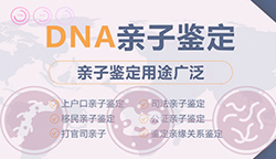 甘肃司法亲子鉴定详细流程及材料，甘肃司法亲子鉴定机构