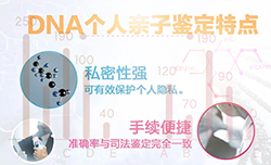 甘肃省血缘检测多久可以拿到报告，甘肃省个人亲子鉴定基本的流程
