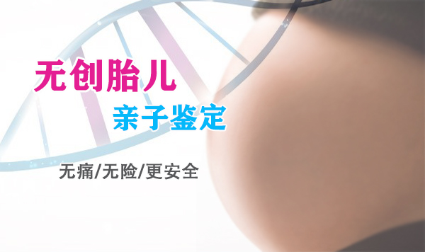 甘肃怀孕5个月能做产前亲子鉴定吗,甘肃做无创孕期亲子鉴定是多少钱啊