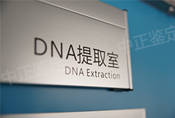 甘肃上户口亲子鉴定需要的材料，甘肃落户口亲子鉴定需要的条件和材料有哪些