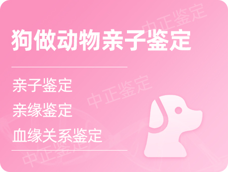 甘肃狗做动物亲子鉴定