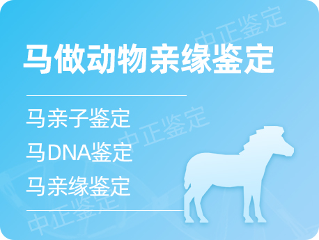 甘肃马做动物亲缘鉴定