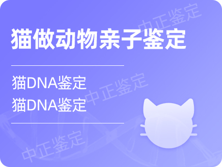 甘肃猫做动物亲子鉴定