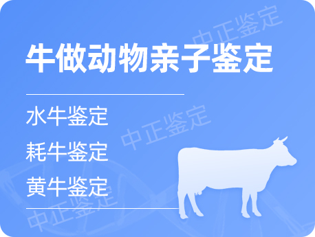 甘肃牛做动物亲子鉴定