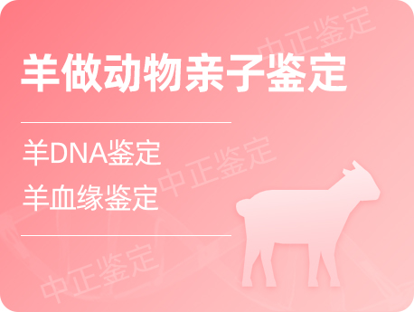 甘肃羊做动物亲缘鉴定