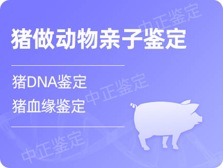 甘肃猪做动物亲子鉴定