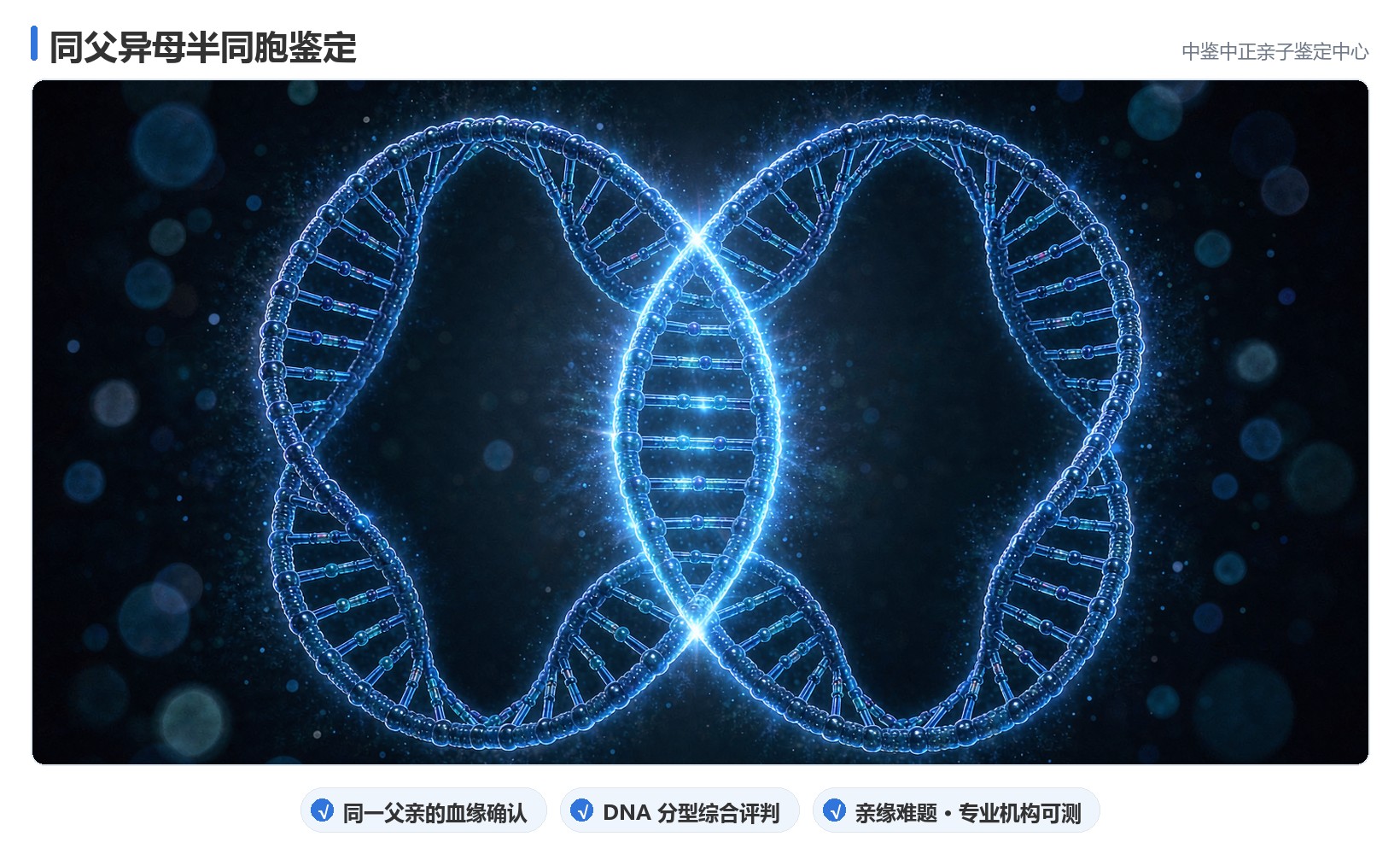 同父异母半同胞鉴定