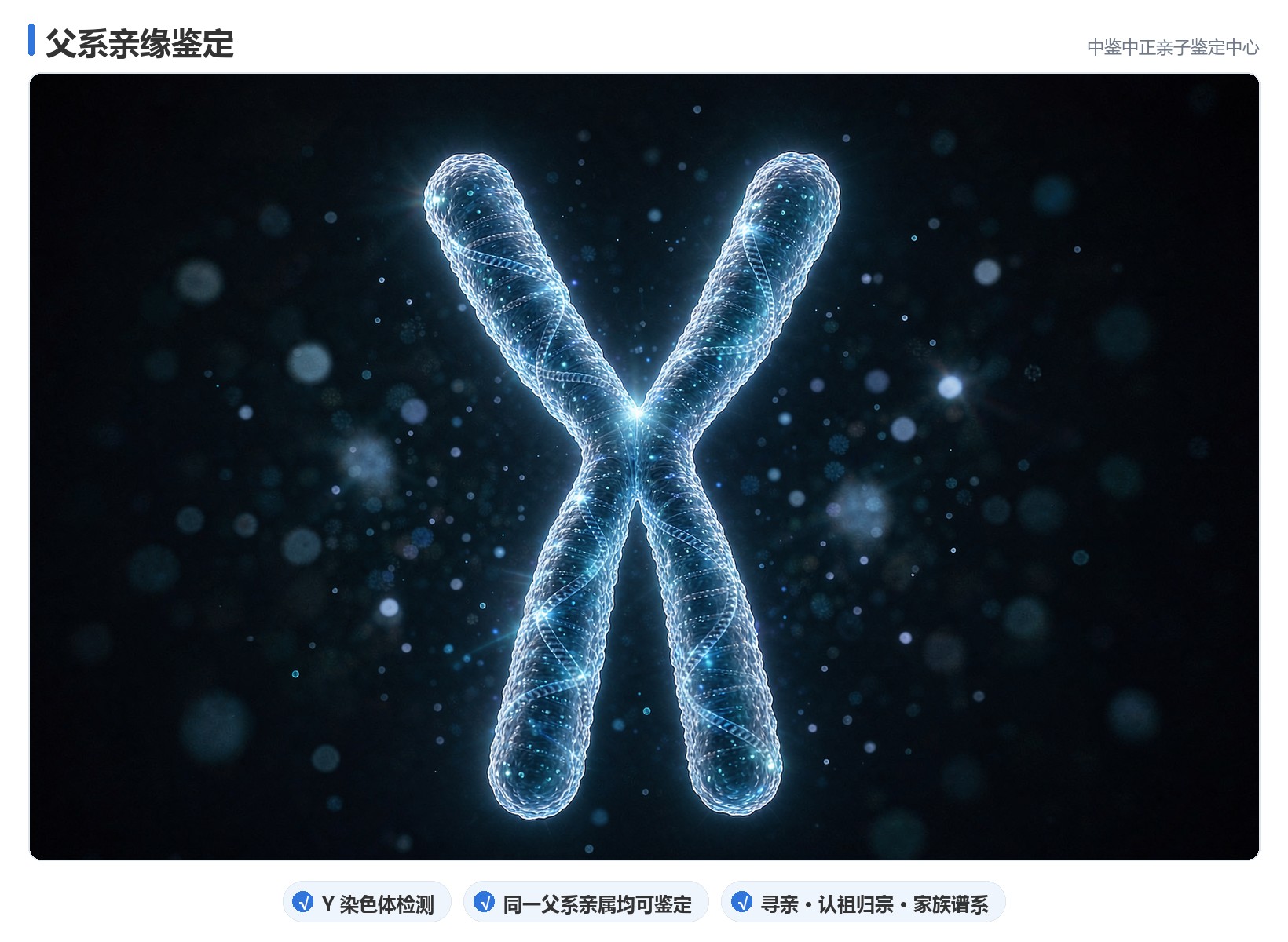 父系亲缘鉴定