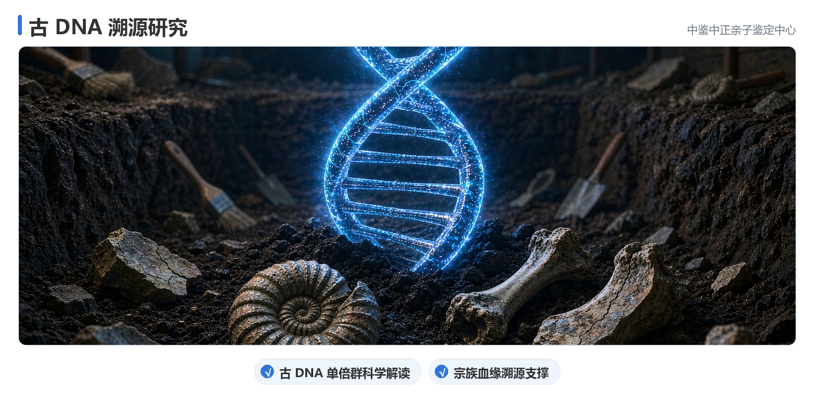 DNA寻亲溯源