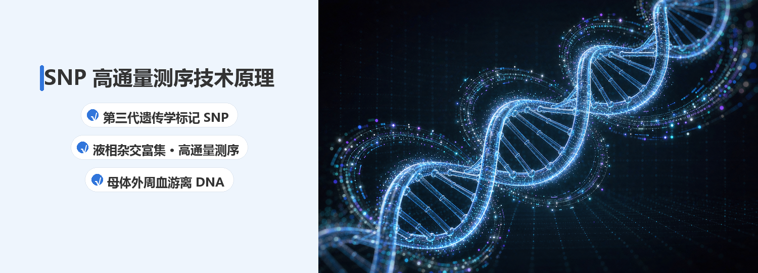 无创胎儿亲子鉴定DNA对比