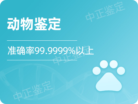 甘肃动物鉴定